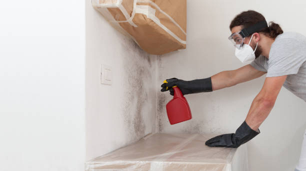 Professional Black Mold Removal technician working in Norfolk, VA