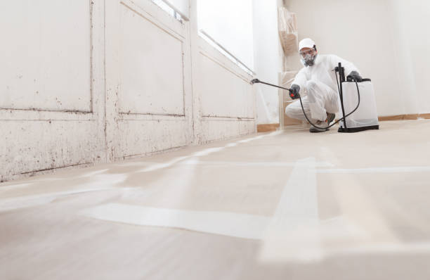 24/7 Emergency Black Mold Removal experts in Norfolk, VA