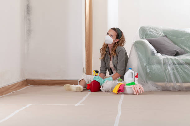 Trusted Black Mold Removal service in Norfolk, VA - WQB Mold Removal